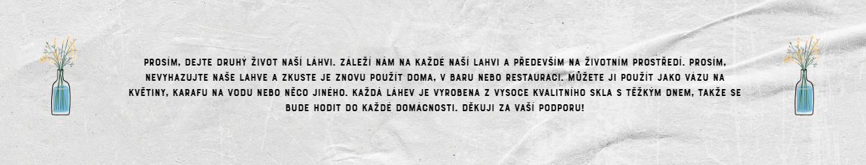Snímek obrazovky 2024-06-05 122314